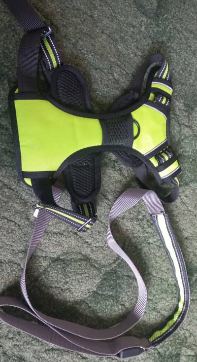European lot imported Harness with  pure Branded quality for Dog 