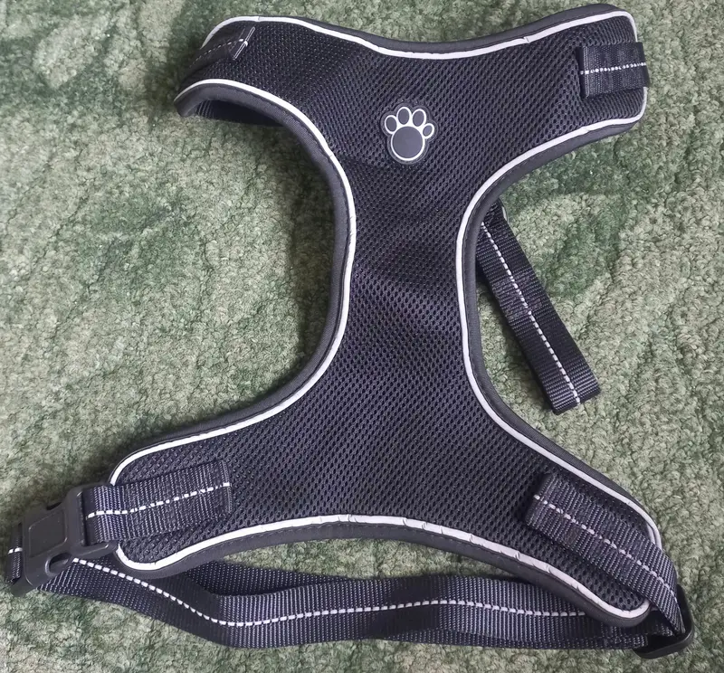 European lot imported Harness with  pure Branded quality for Dog  — photo 4