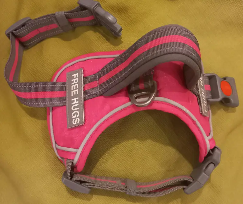 European lot imported Harness with  pure Branded quality for Dog  — photo 6