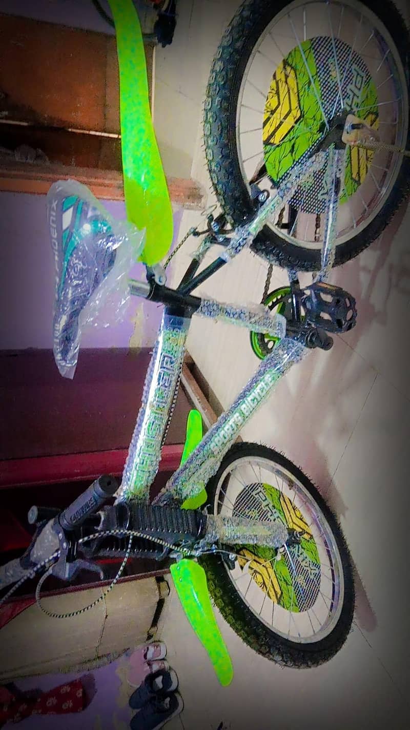 New cyclei 2