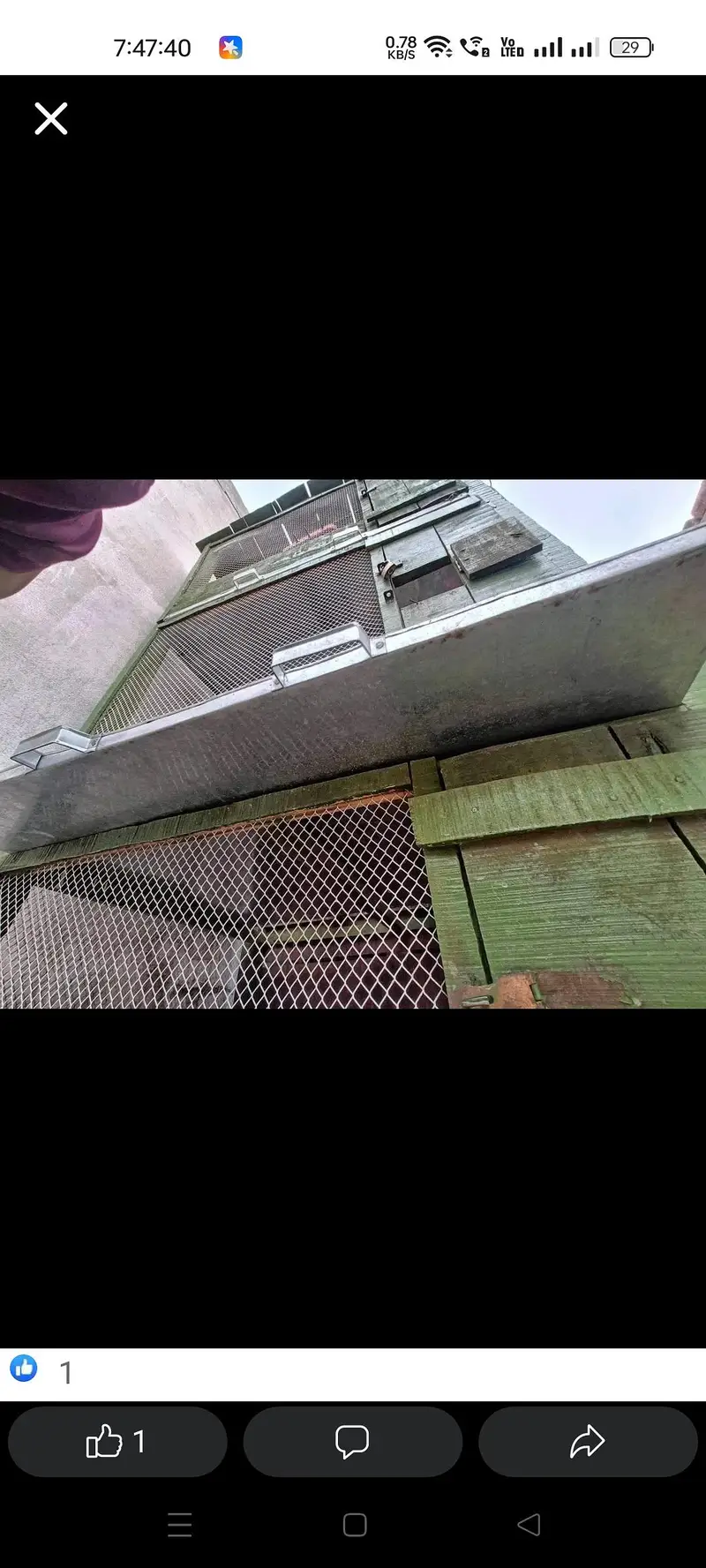 For Hen & pigeon cage — photo 4