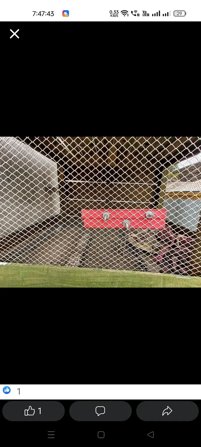 For Hen & pigeon cage — photo 6