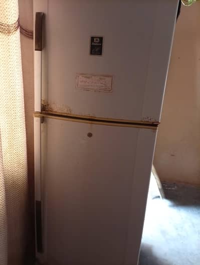 friege ND birds for sale