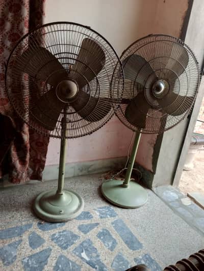 Ac fans