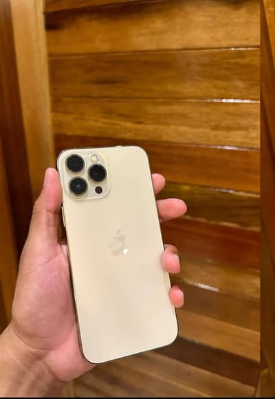 Apple iPhone 13 Pro Max