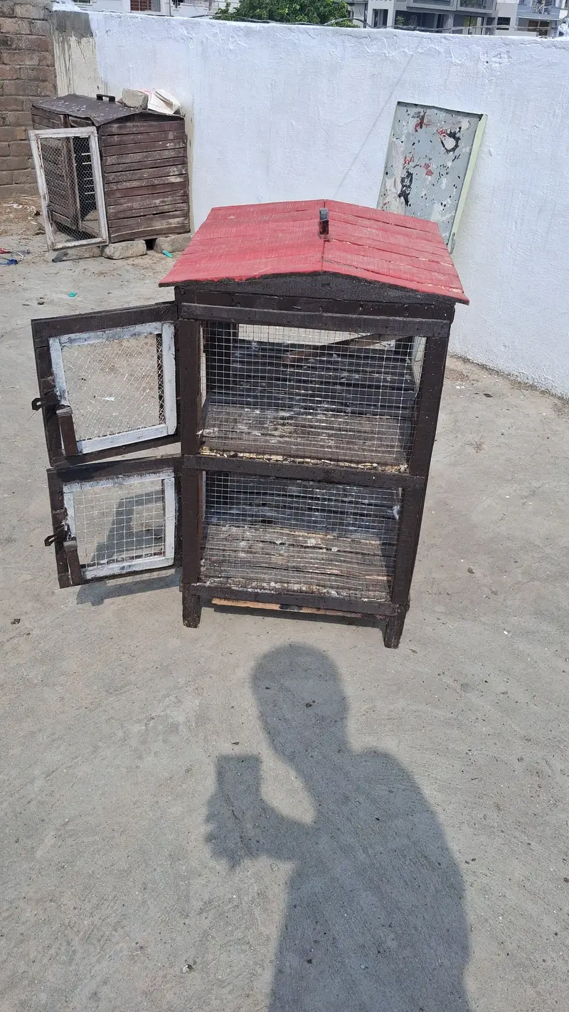 Cage for birds — photo 2