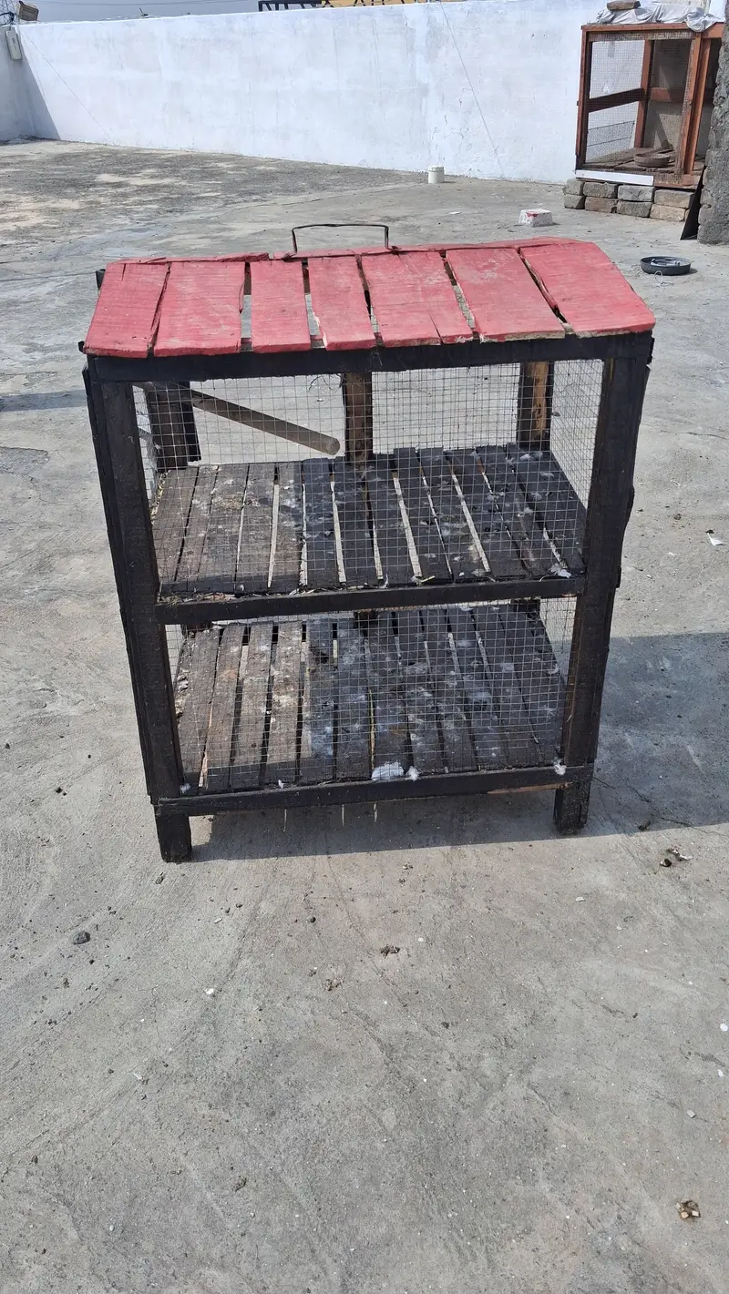 Cage for birds — photo 3