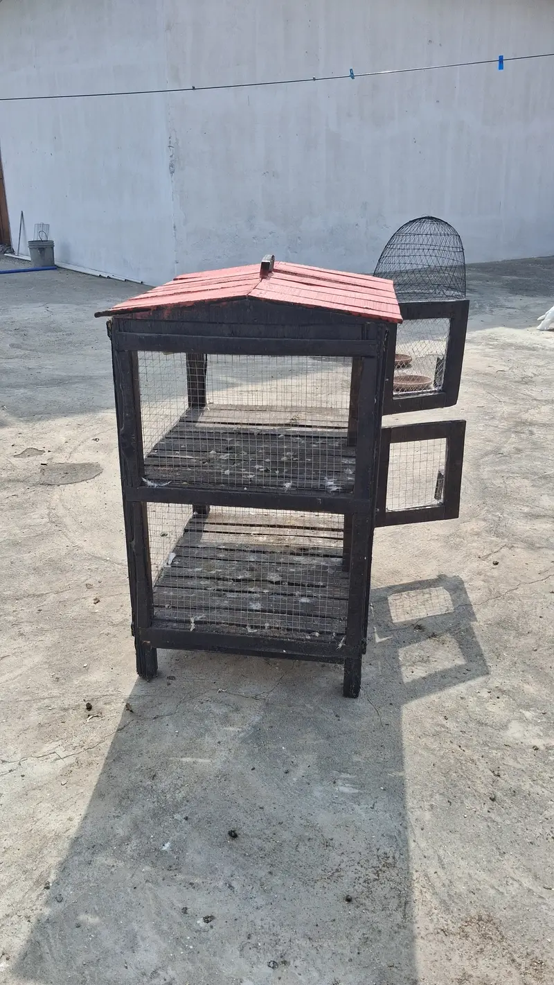 Cage for birds — photo 4