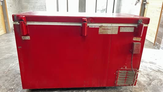 Cold Freezer