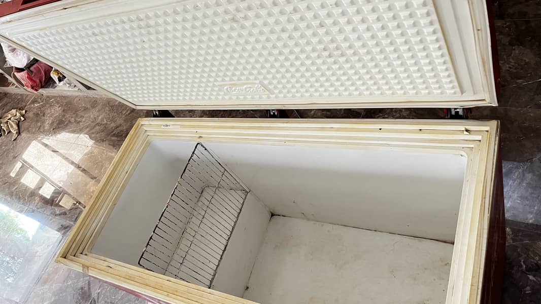 Cold Freezer 1