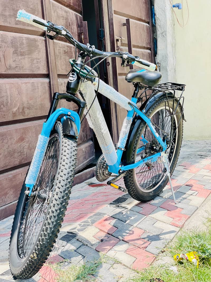 Imported Bicycle 1