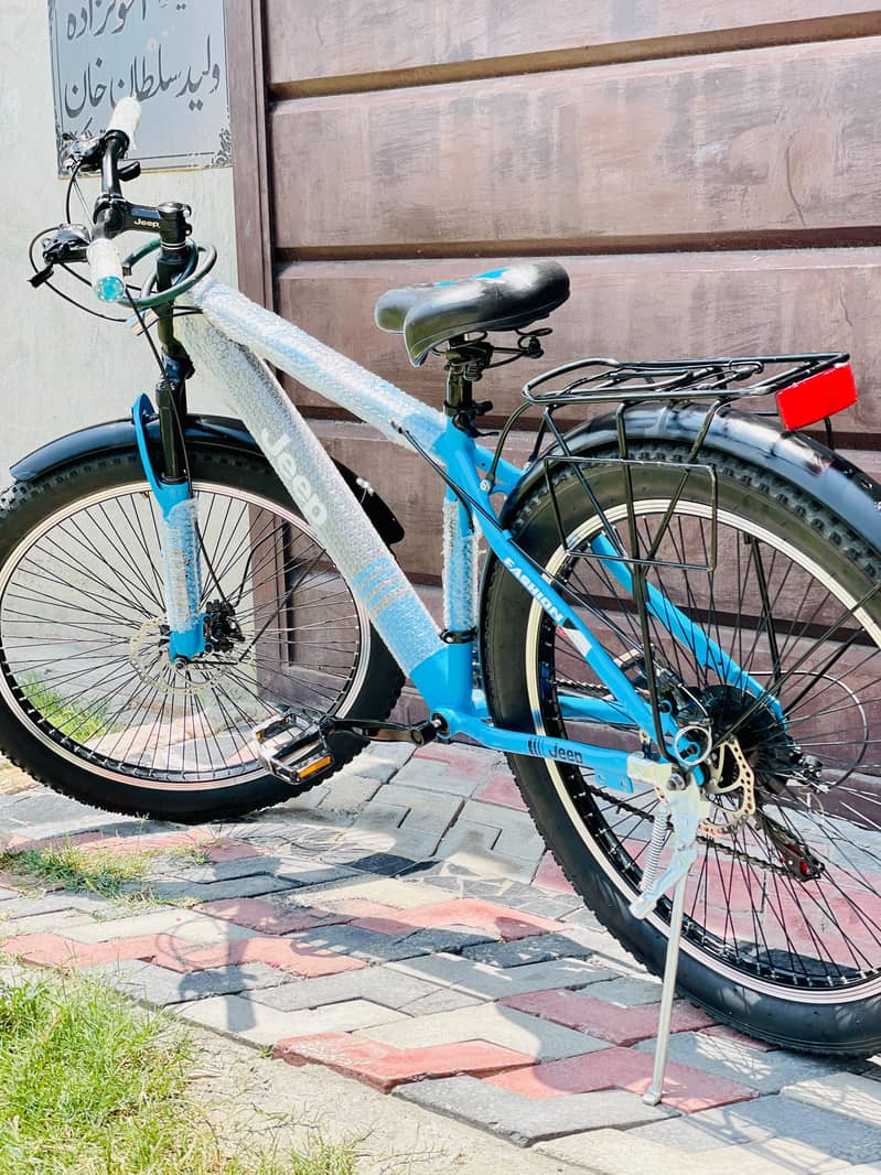 Imported Bicycle 2