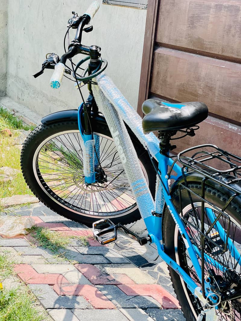 Imported Bicycle 3