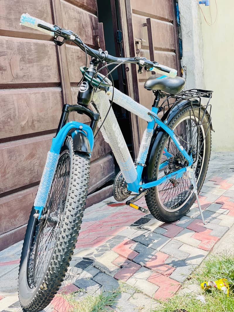 Imported Bicycle 4