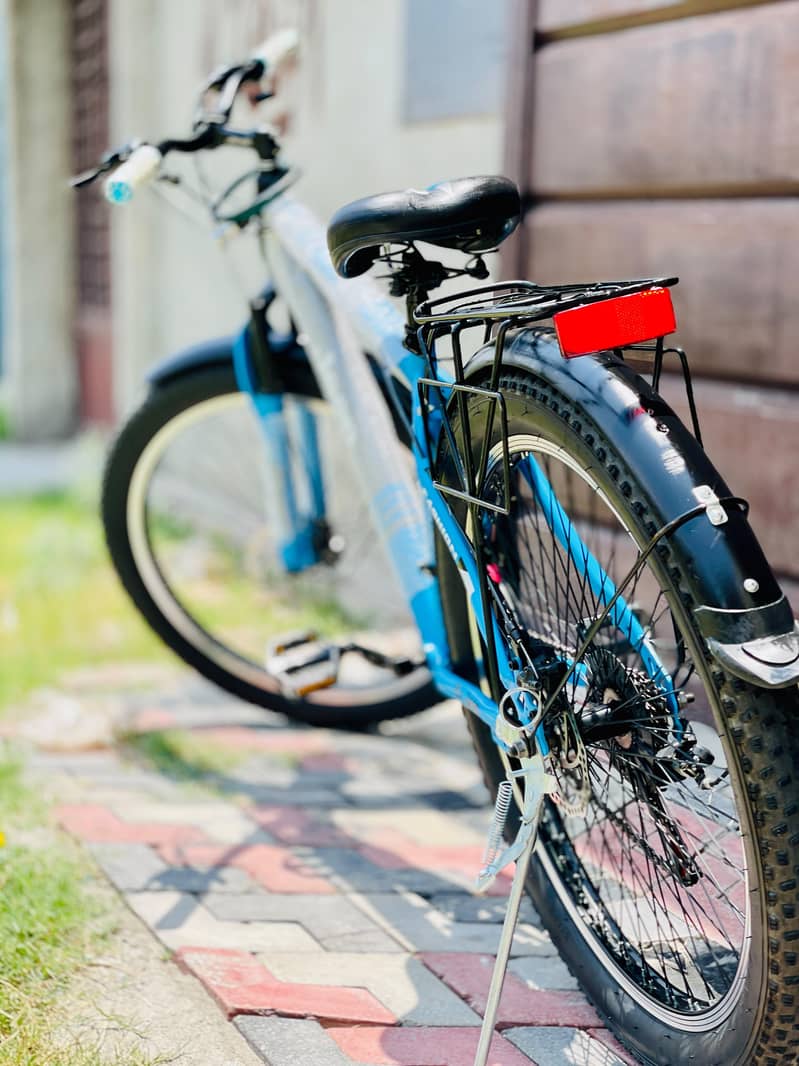 Imported Bicycle 6