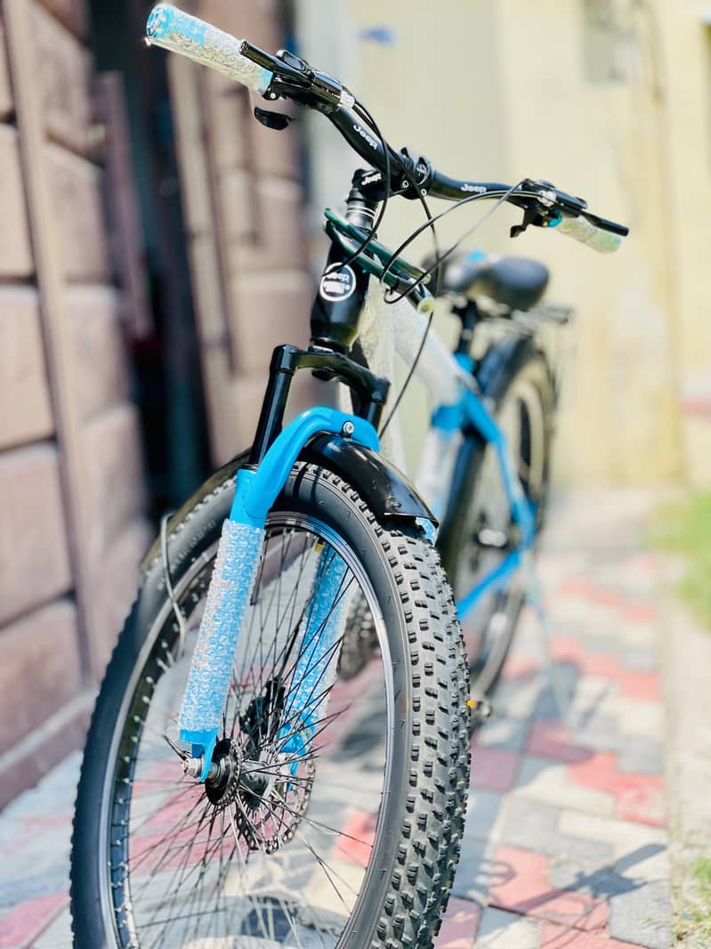 Imported Bicycle 7