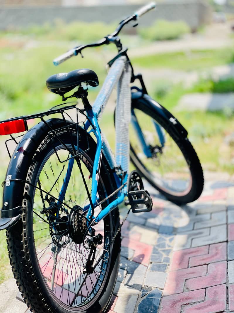 Imported Bicycle 8