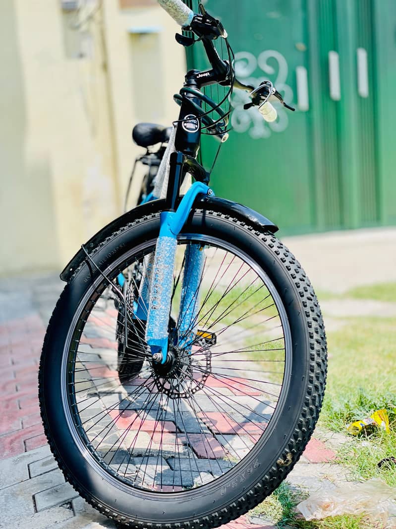 Imported Bicycle 9