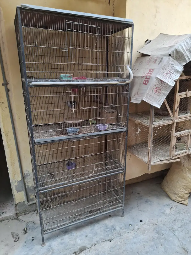 birds cage for sale