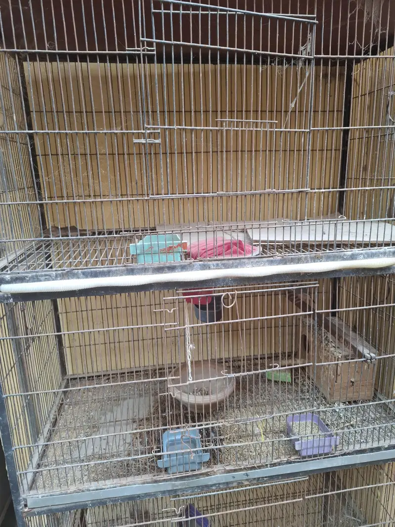 birds cage for sale — photo 2