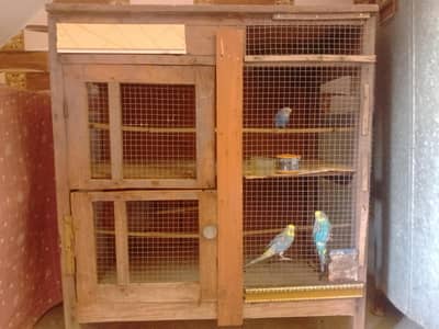 parrot or hen cage for  sale Rs 3000