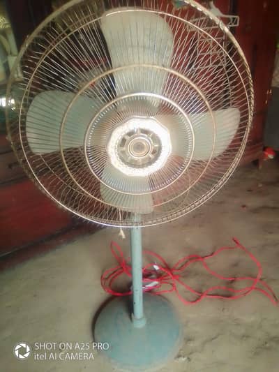 25000