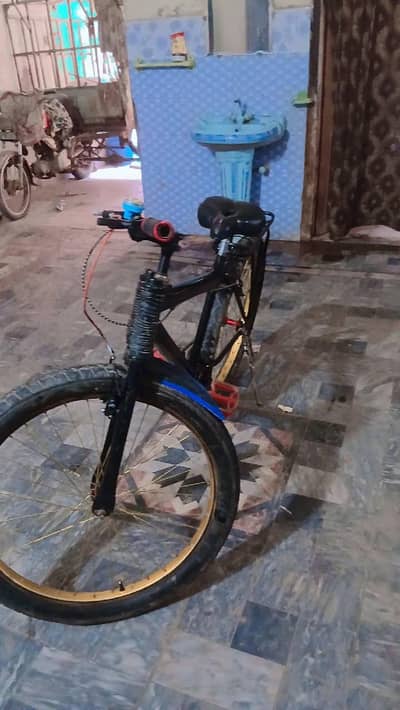 fat bike