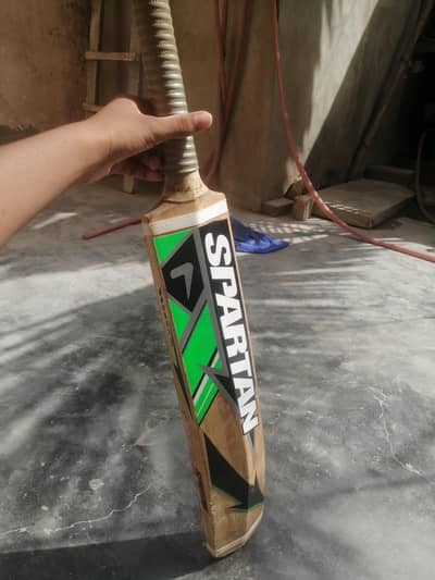 Spartan English Willow Cricket Bat