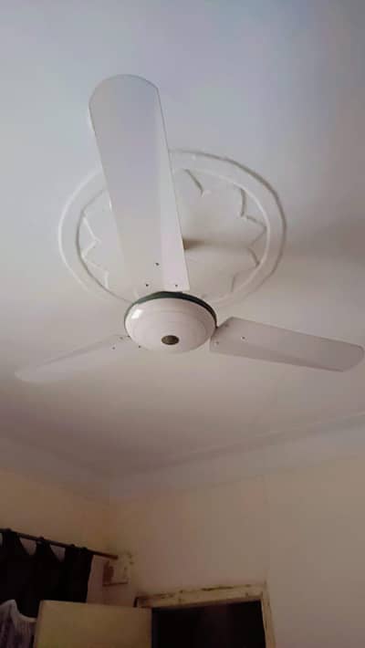 fan sell