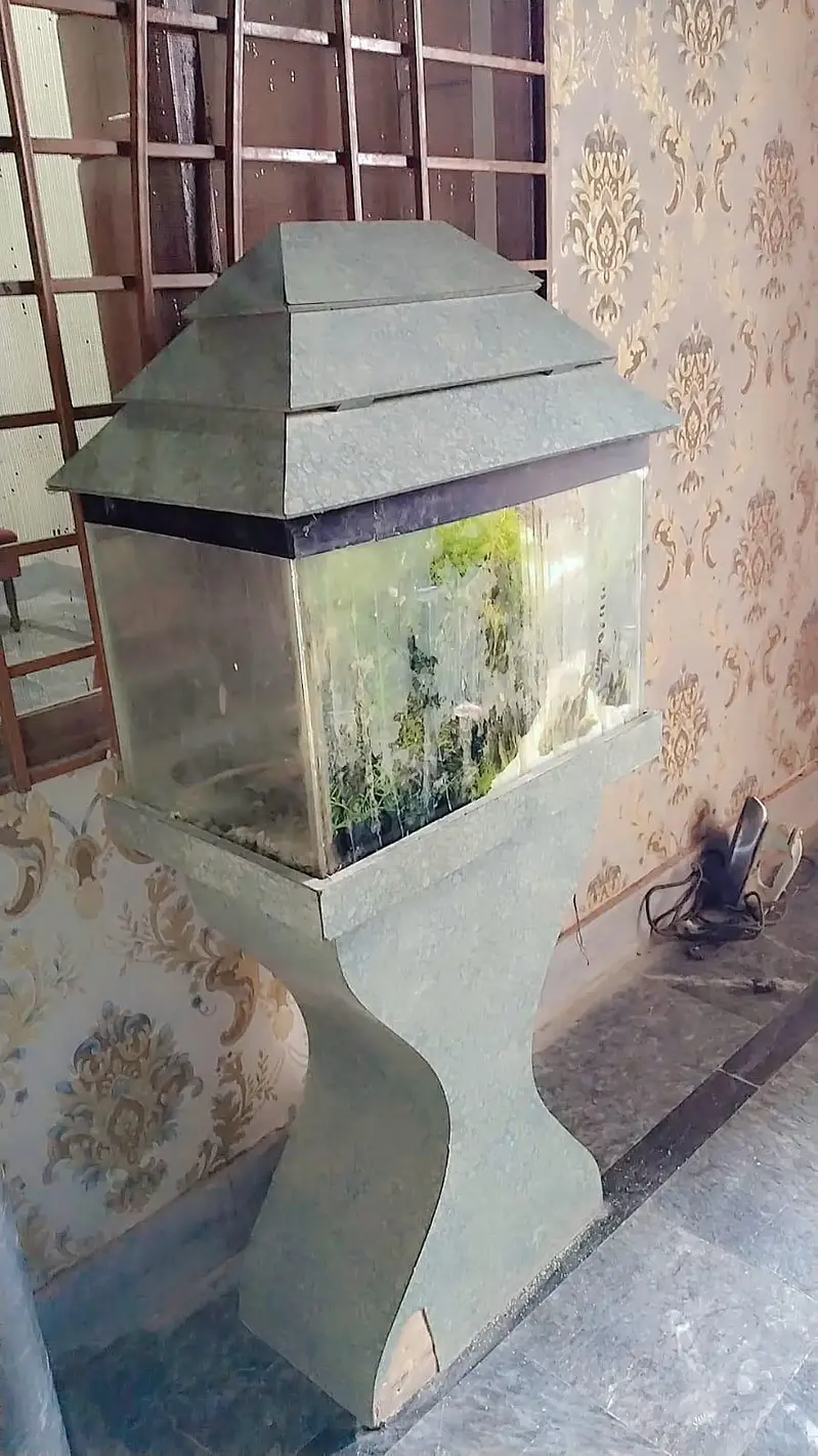 fish aquarium for sale condition 10 10