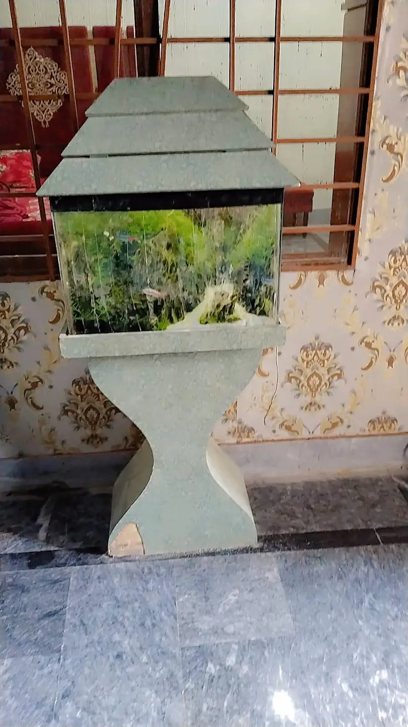 fish aquarium for sale condition 10 10 — photo 2