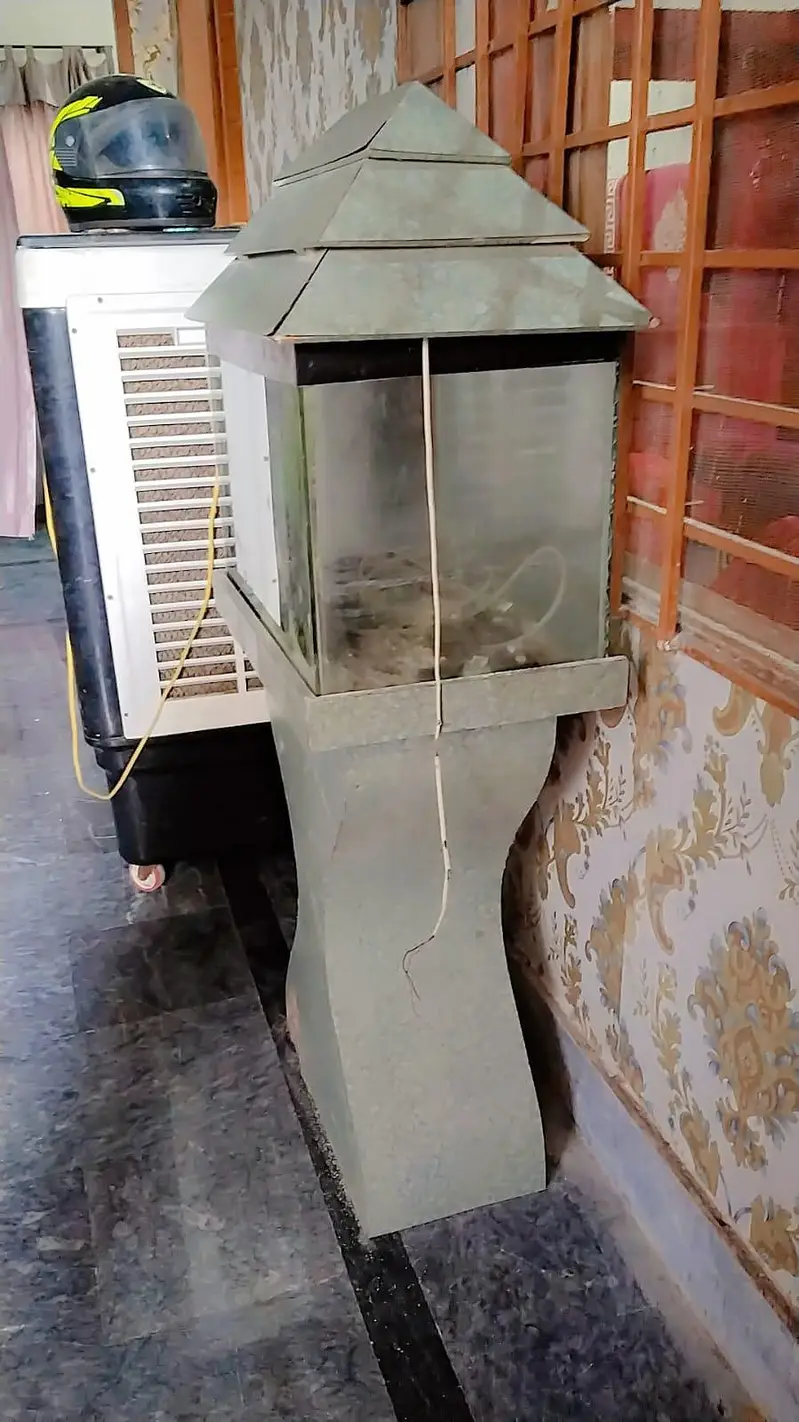 fish aquarium for sale condition 10 10 — photo 3