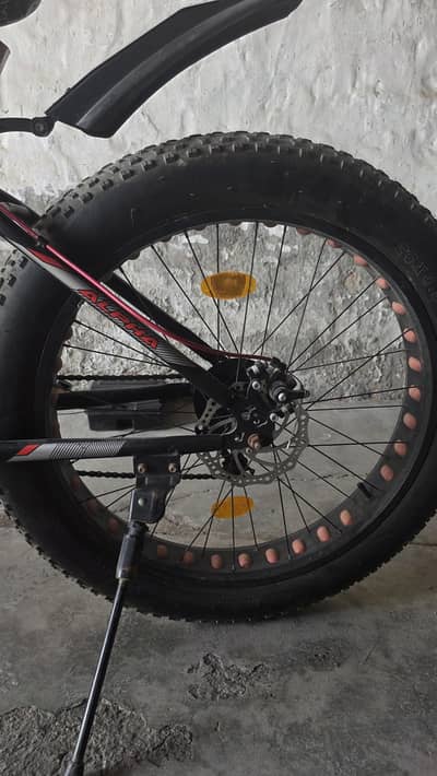 Profox 26 inch cycle fat tyer imported China