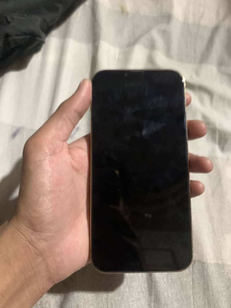 Apple iPhone 13 Pro Max 0