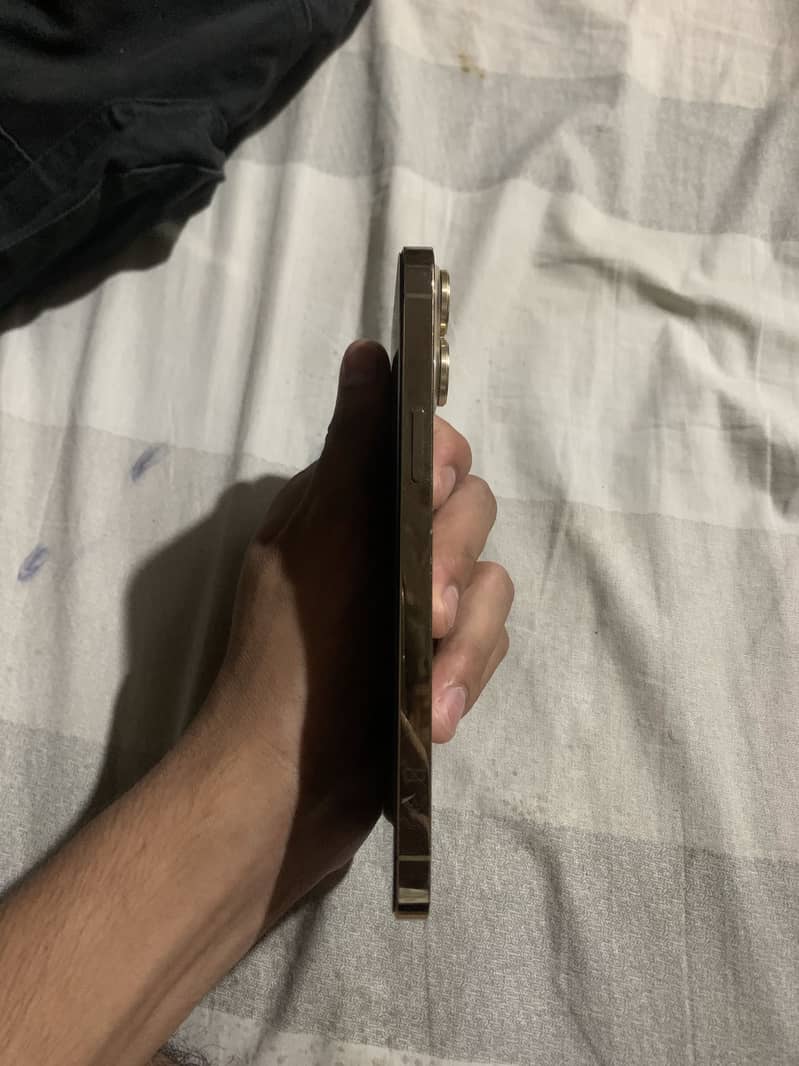Apple iPhone 13 Pro Max 5
