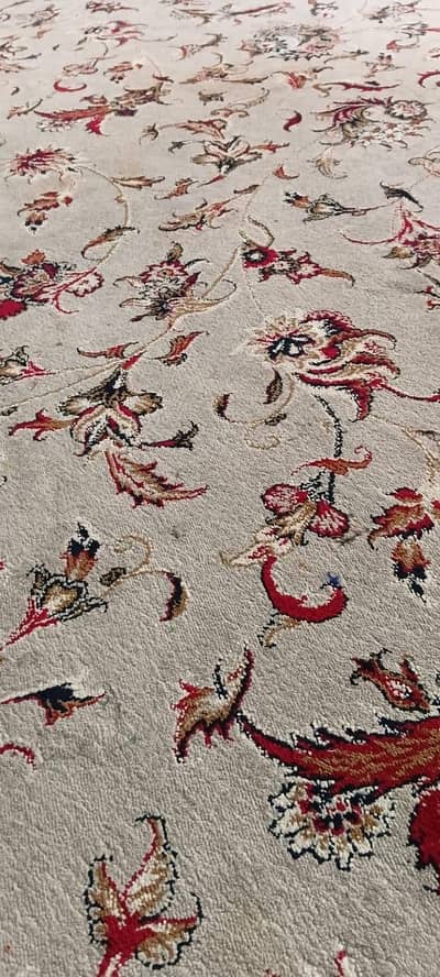 qaleen type carpet
