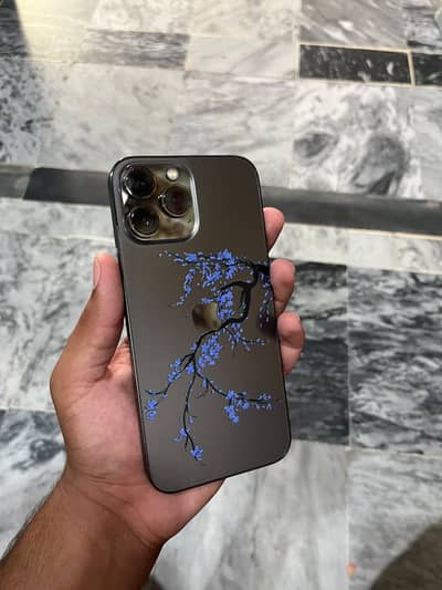 Apple iPhone 13 Pro Max