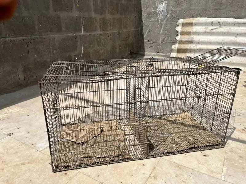 2 cages (pinjra) for birds — photo 2