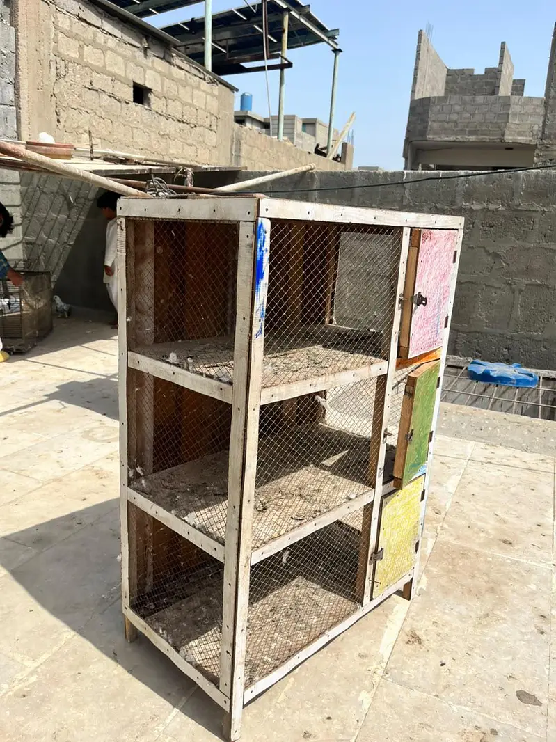 2 cages (pinjra) for birds — photo 3