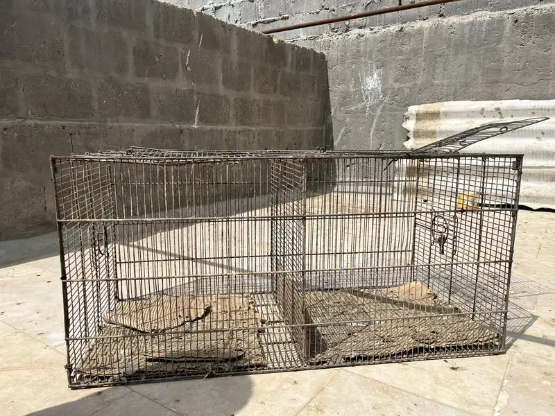 2 cages (pinjra) for birds — photo 4