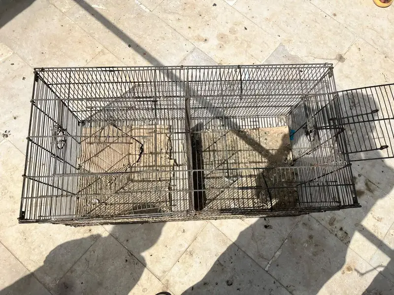 2 cages (pinjra) for birds — photo 5