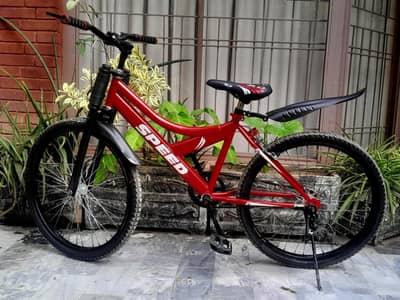 24 inches bicycle