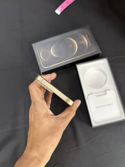 Apple iPhone 12 Pro Max only phone he box abi mil nai raha