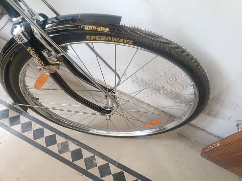 Coballo cycle 3