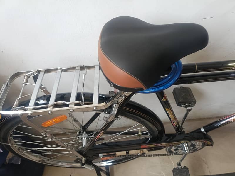 Coballo cycle 4