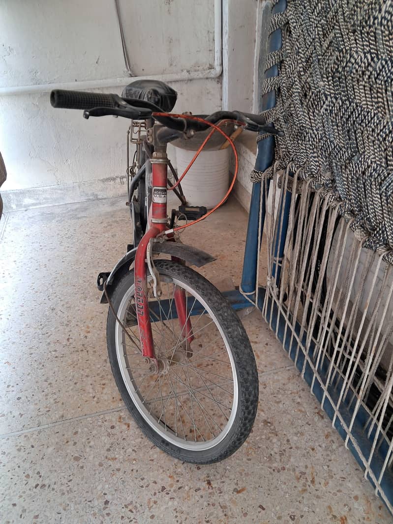 morgan cycle 0