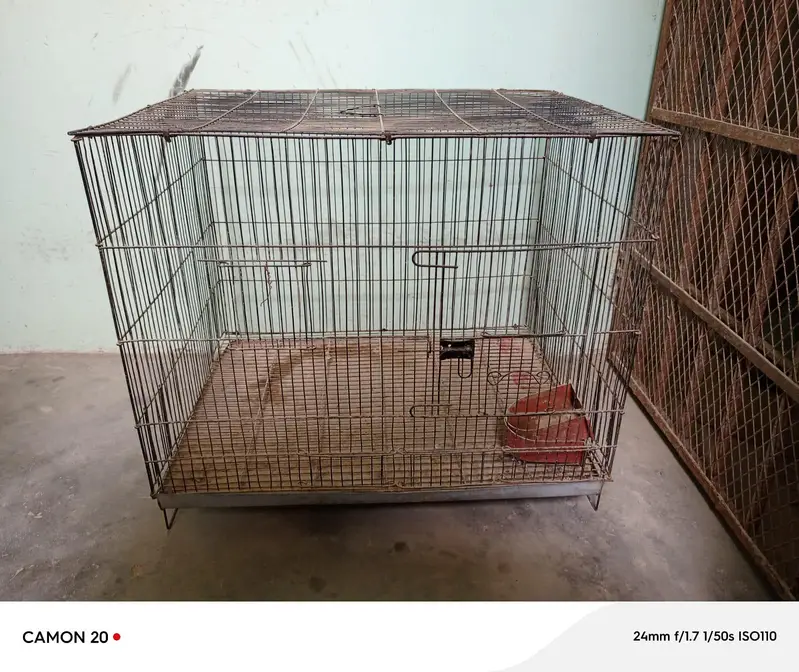 Bird cage