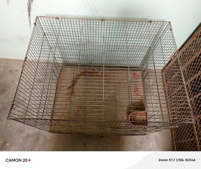 Bird cage 1