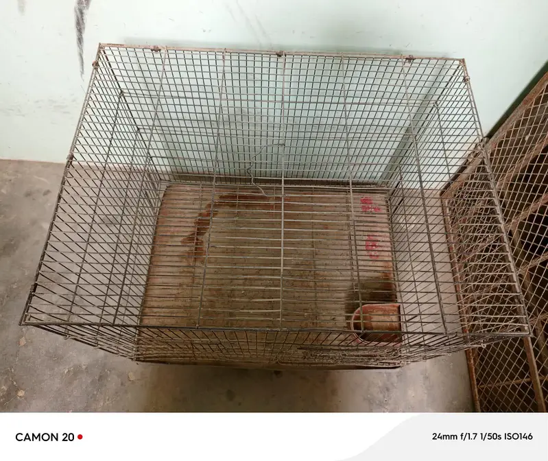 Bird cage — photo 2
