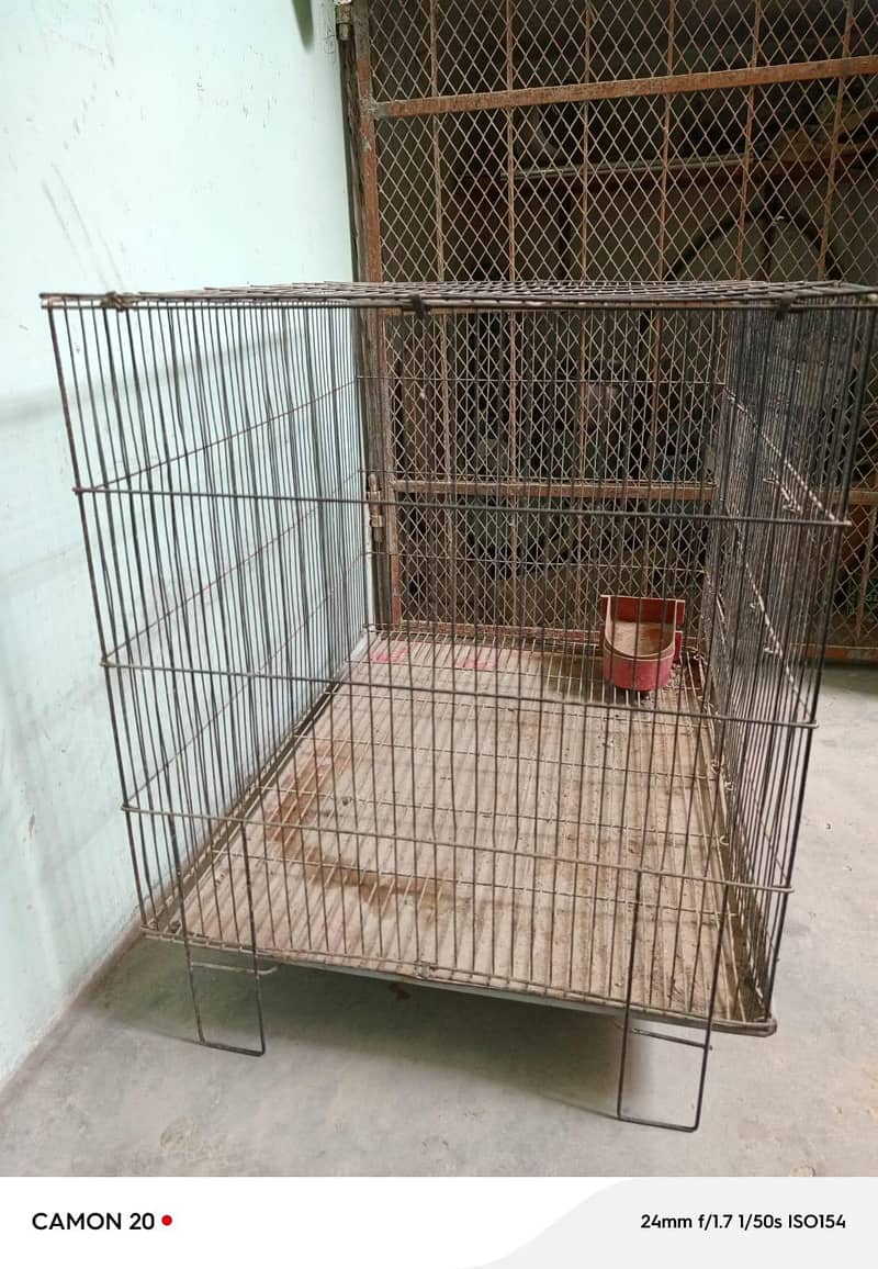 Bird cage 2